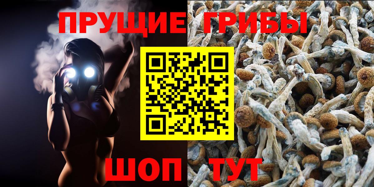 Галлюциногенные грибы Magic Shrooms  Вход с VPN  Галлюциногенные грибы мухоморы  Белорецк 